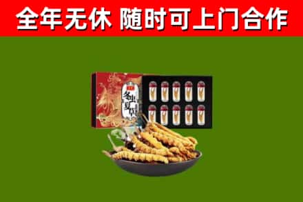 喀什烟酒回收冬虫夏草礼盒.jpg